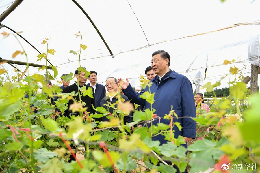 香港全年资料兔费大全